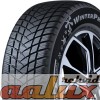 A4946H WINTERPRO2  
